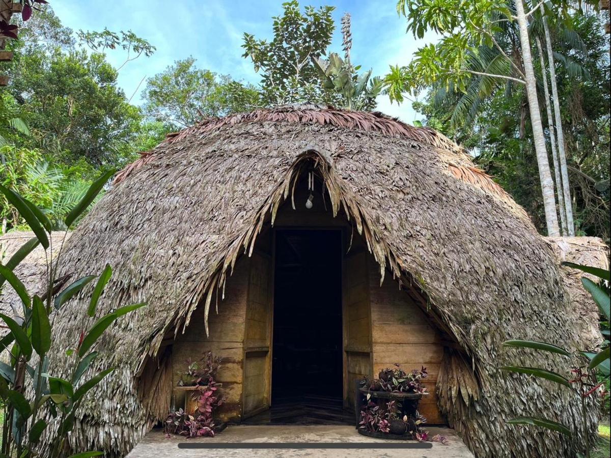 Palmayacu - Refugio Amazonico Leticia Exterior photo