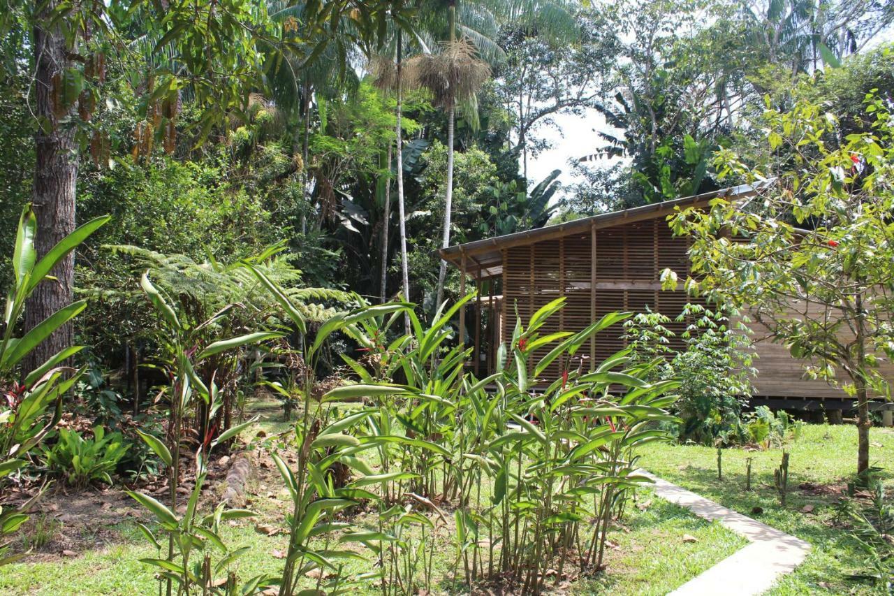 Palmayacu - Refugio Amazonico Leticia Exterior photo