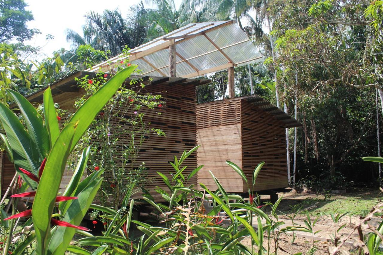 Palmayacu - Refugio Amazonico Leticia Exterior photo